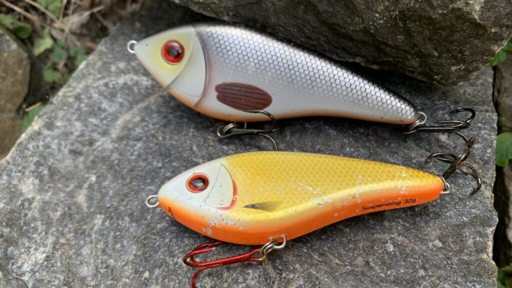 westin swim 1440x1080 cropped